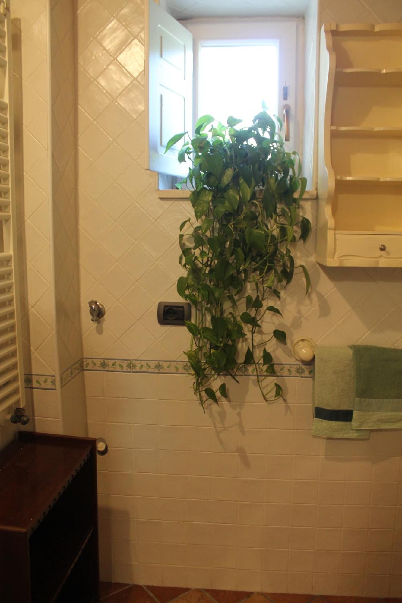 La Magnolia Locazione Breve Daire Cava deʼ Tirreni Dış mekan fotoğraf